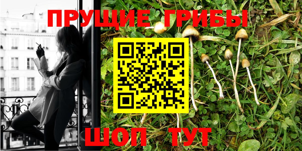 Псилоцибиновые грибы MAGIC MUSHROOMS Энгельс